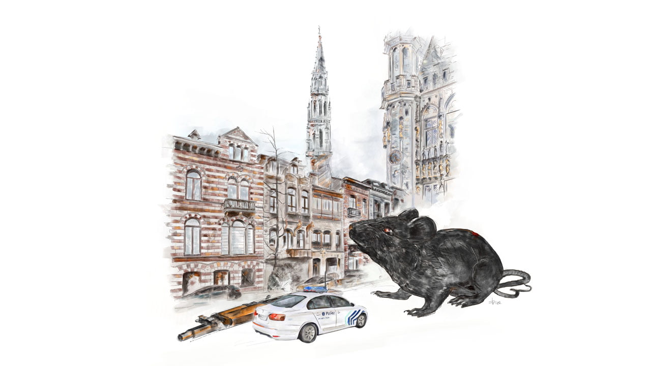 le rat de molenbeek illustration eligrafica